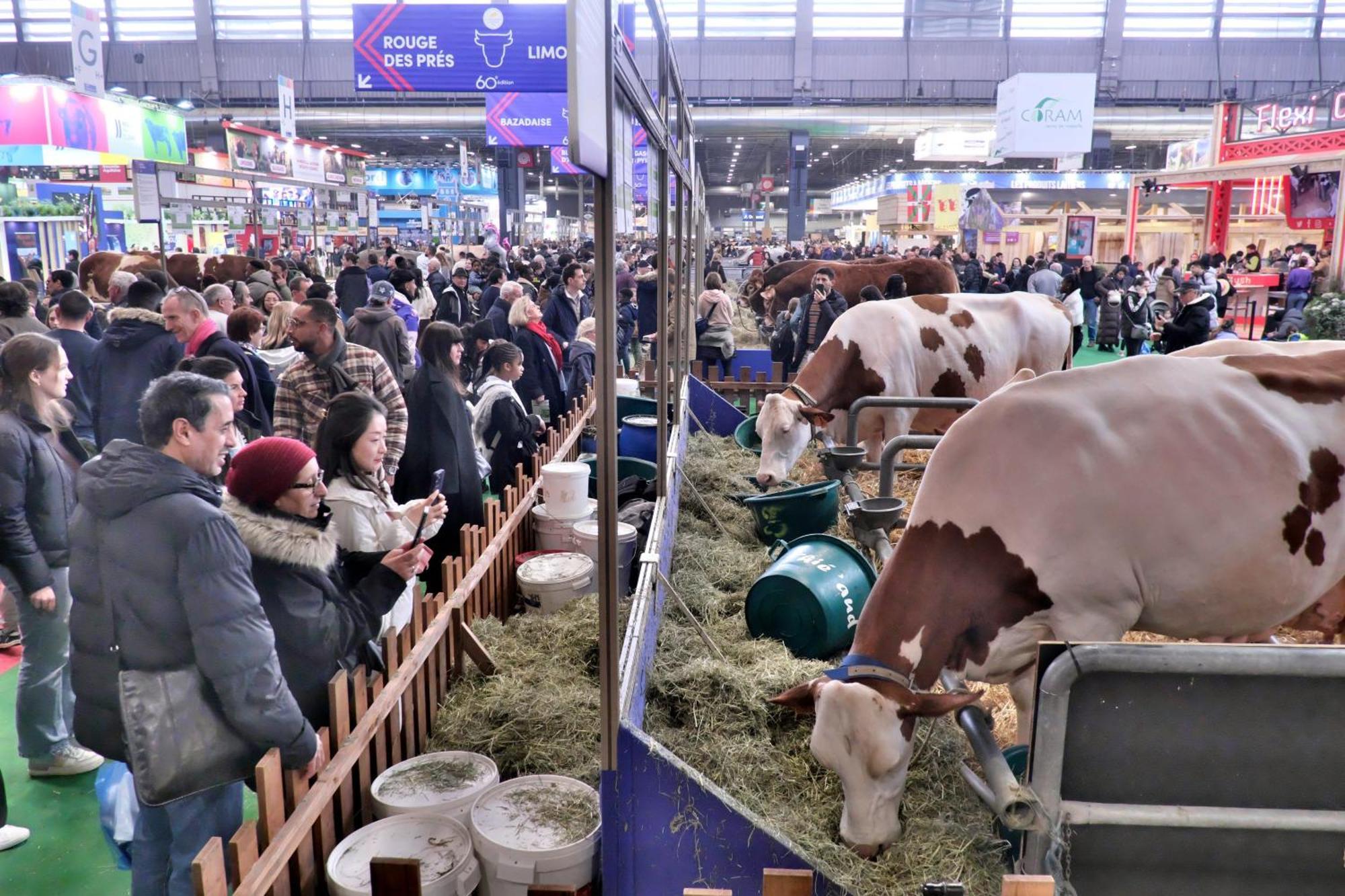 Fred'hotel 3* Parigi